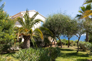 Das Haus zwischen Meer und Palmengarten